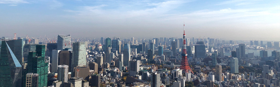 【千葉市】相続税対策で不動産を活用するメリット・デメリットと活用事例